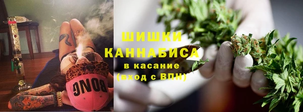 шишки Баксан