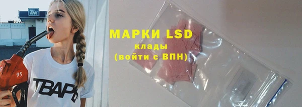 шишки Баксан
