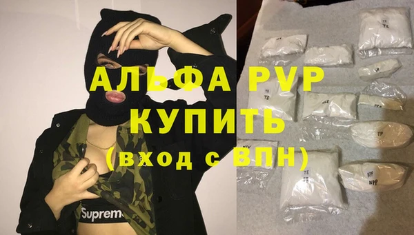 индика Белоозёрский