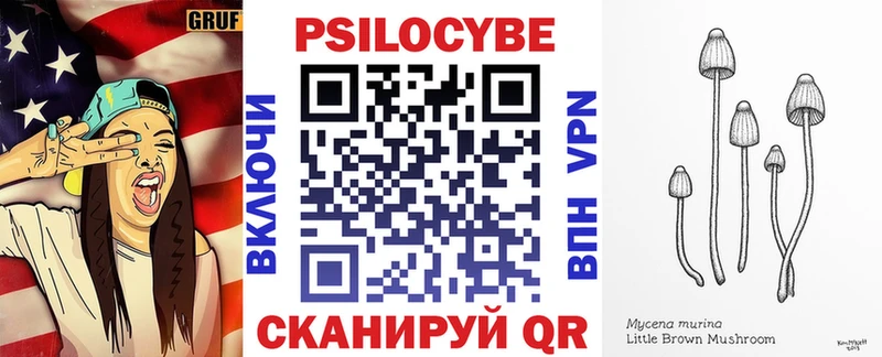 Псилоцибиновые грибы мицелий  Купить  Сегежа 